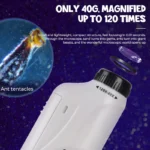 Kids' Pocket Microscope with LED Light: 60-120x Magnification - Educational STEM Toy - Image 3