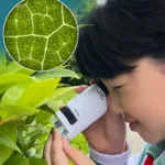Kids' Pocket Microscope with LED Light: 60-120x Magnification - Educational STEM Toy - Image 2